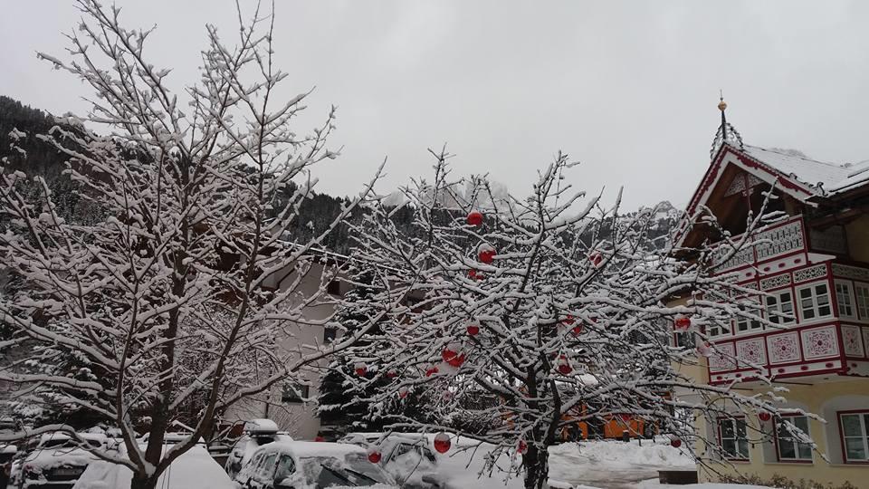 Alpenhotel Panorama กัมปีเตลโลดีฟัสซา ภายนอก รูปภาพ