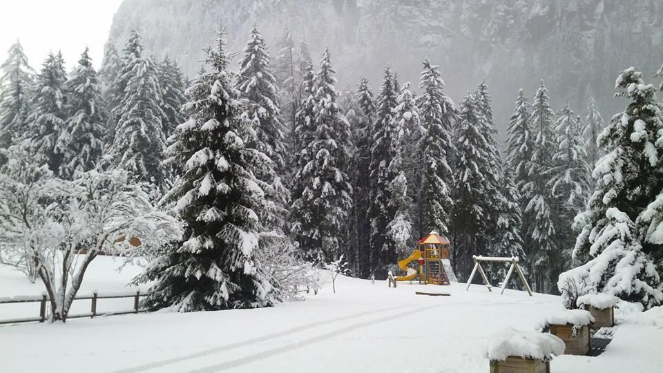 Alpenhotel Panorama กัมปีเตลโลดีฟัสซา ภายนอก รูปภาพ